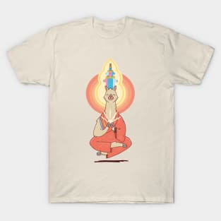 Dalai Llama T-Shirt